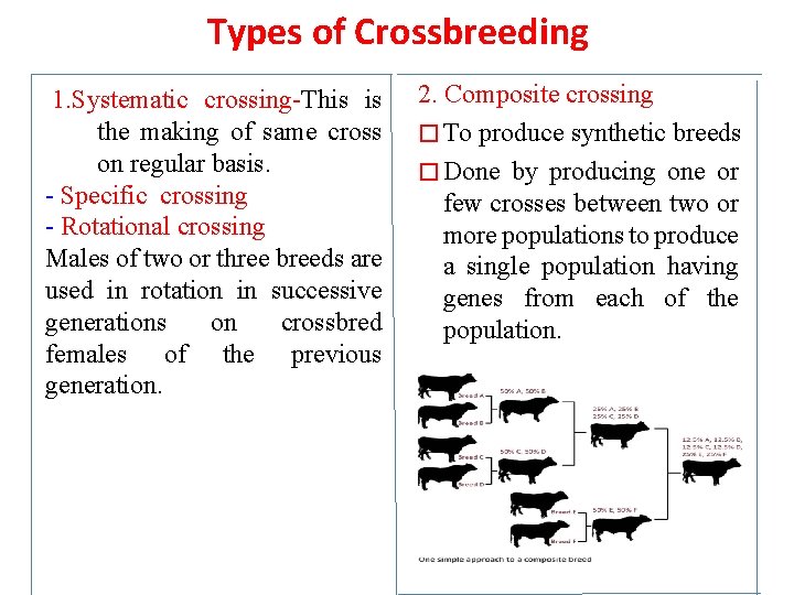Types of Crossbreeding 1. Systematic crossing-This is the making of same cross on regular