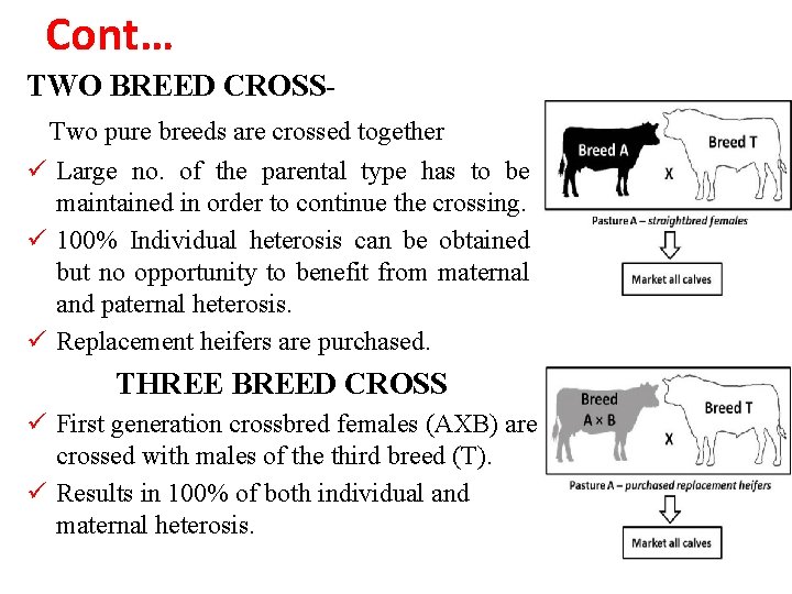 Cont… TWO BREED CROSSTwo pure breeds are crossed together ü Large no. of the