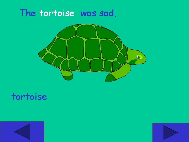 The tortoise was sad. tortoise 