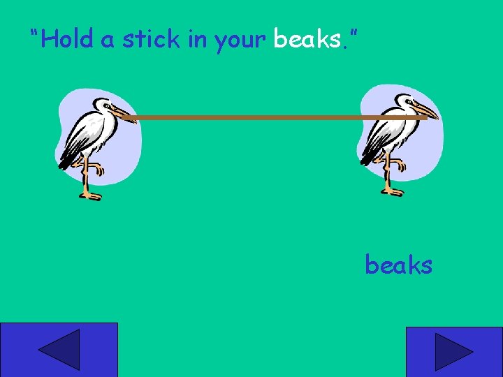 “Hold a stick in your beaks. ” beaks 