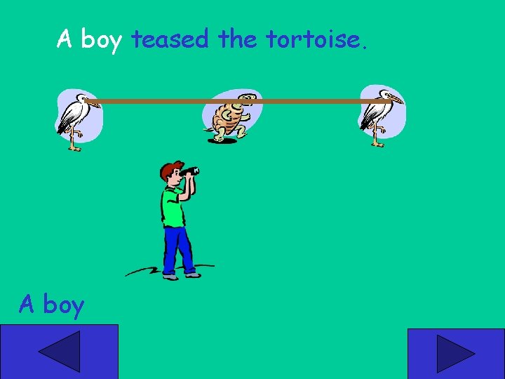 A boy teased the tortoise. A boy 