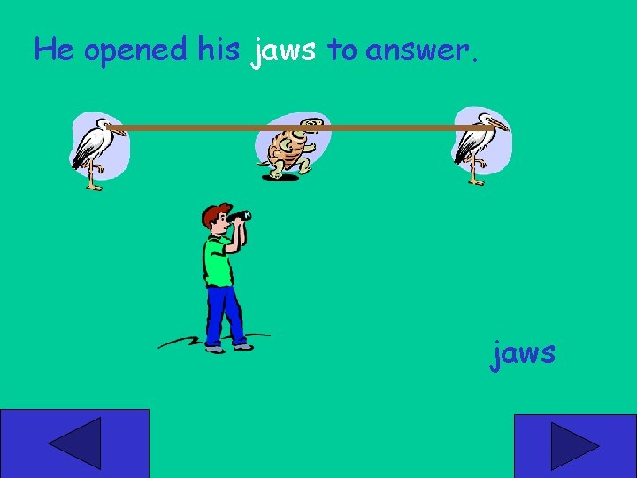 He opened his jaws to answer. jaws 