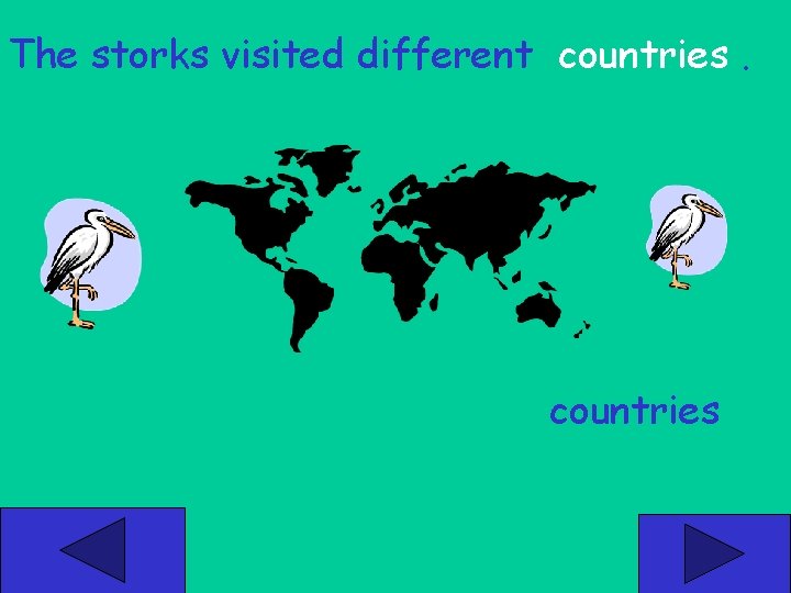 The storks visited different countries 