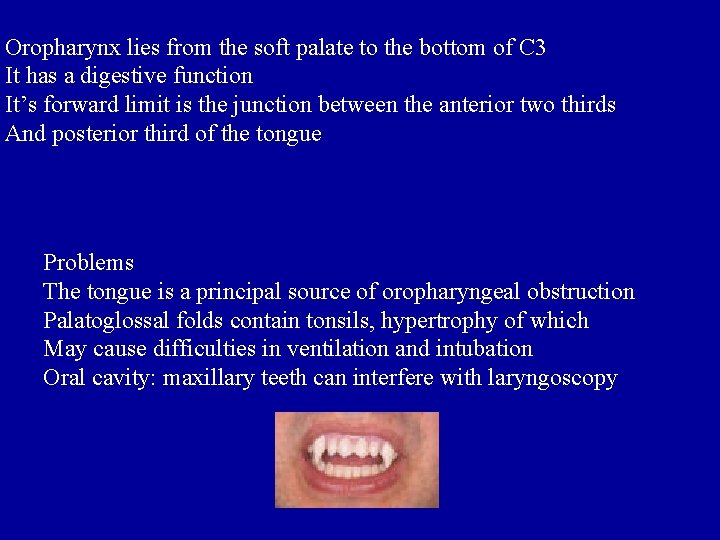 Oropharynx lies from the soft palate to the bottom of C 3 It has