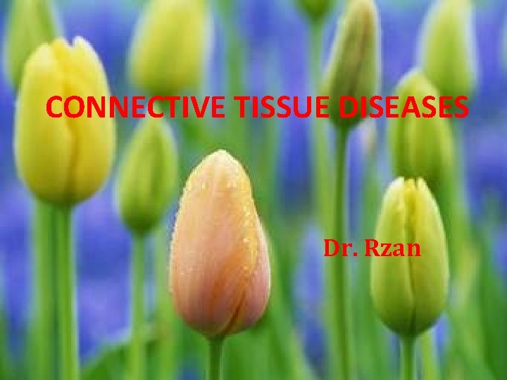 CONNECTIVE TISSUE DISEASES Dr. Rzan 