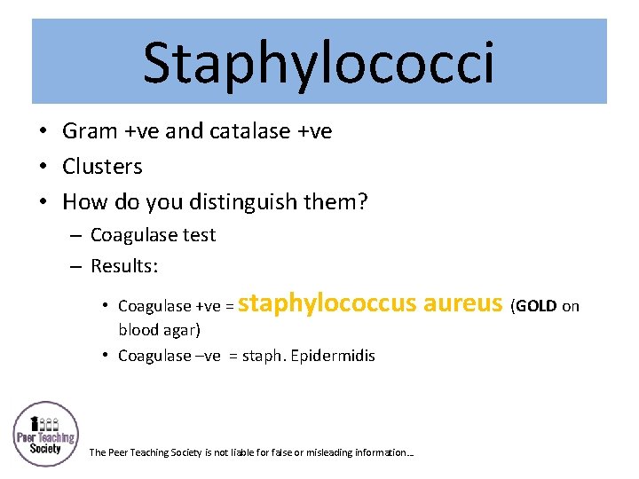 Staphylococci • Gram +ve and catalase +ve • Clusters • How do you distinguish