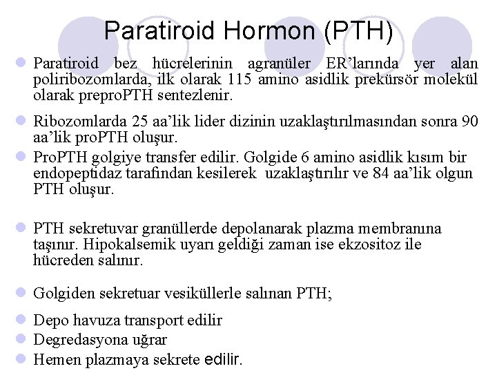 Paratiroid Hormon (PTH) l Paratiroid bez hücrelerinin agranüler ER’larında yer alan poliribozomlarda, ilk olarak