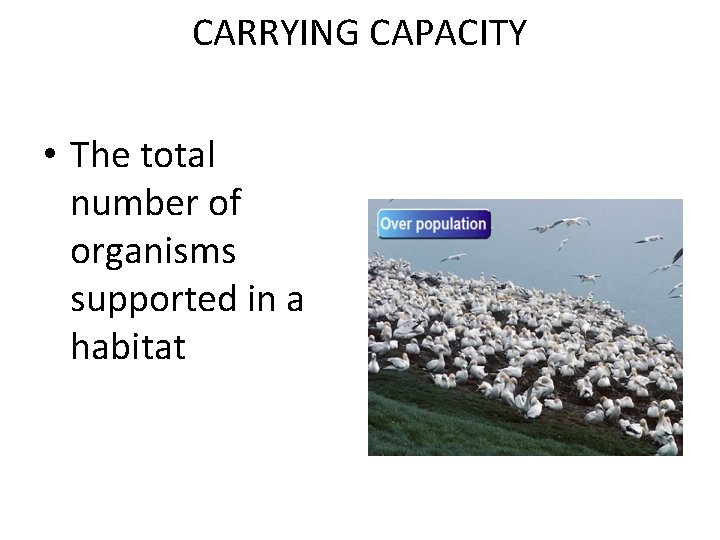 CARRYING CAPACITY • The total number of organisms supported in a habitat 