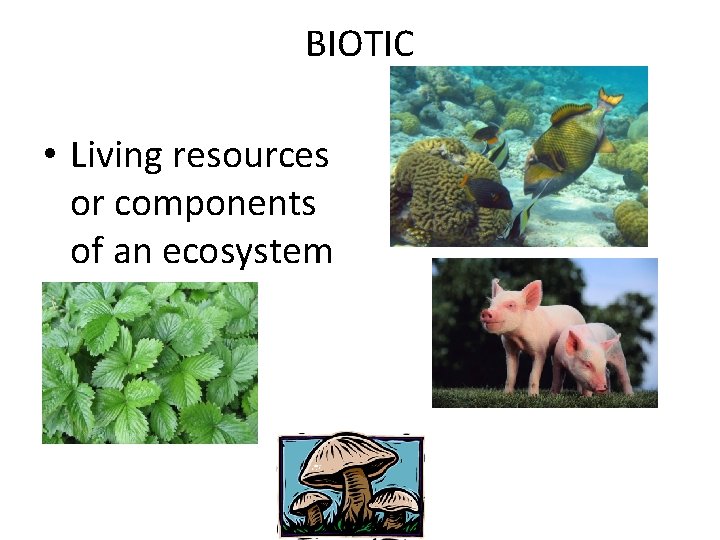 BIOTIC • Living resources or components of an ecosystem 