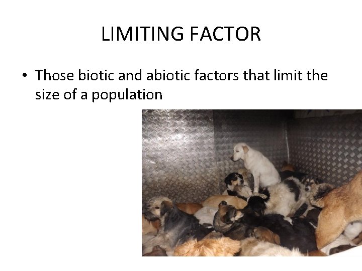 LIMITING FACTOR • Those biotic and abiotic factors that limit the size of a