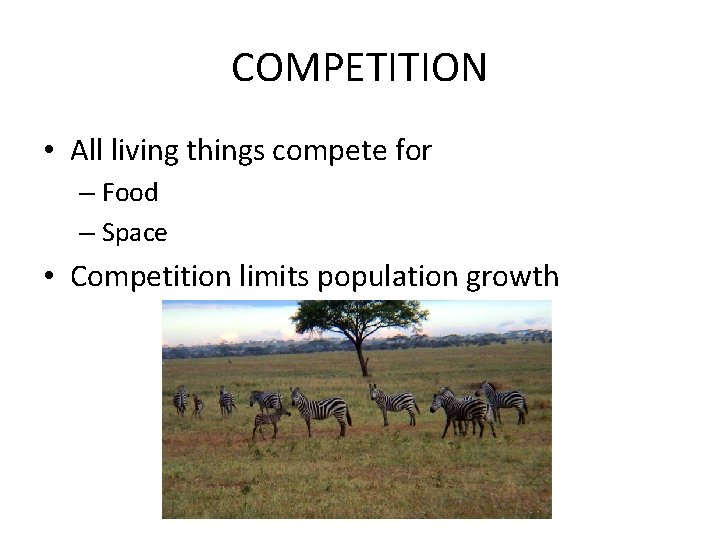 COMPETITION • All living things compete for – Food – Space • Competition limits
