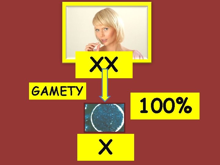 XX GAMETY 100% X 