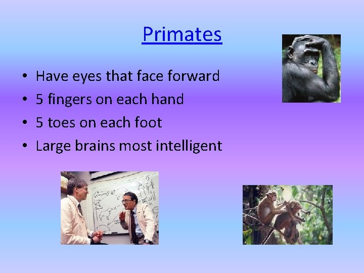 Primates • • Have eyes that face forward 5 fingers on each hand 5 Primates • • Have eyes that face forward 5 fingers on each hand 5