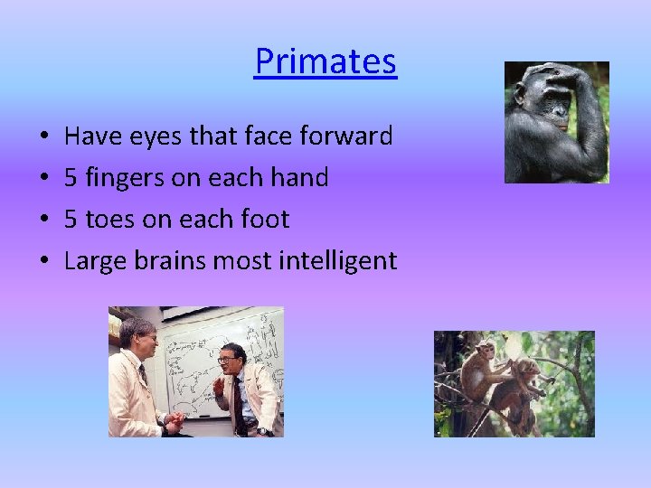 Primates • • Have eyes that face forward 5 fingers on each hand 5