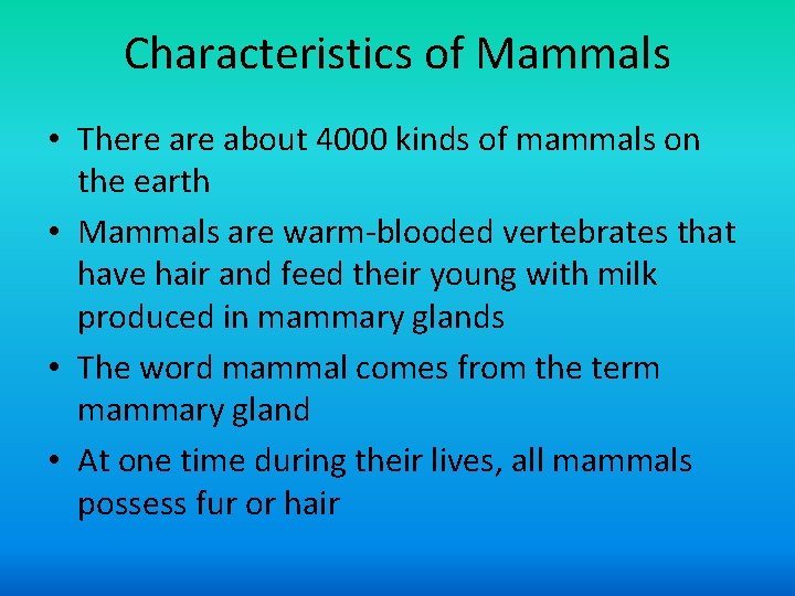 Characteristics of Mammals • There about 4000 kinds of mammals on the earth •