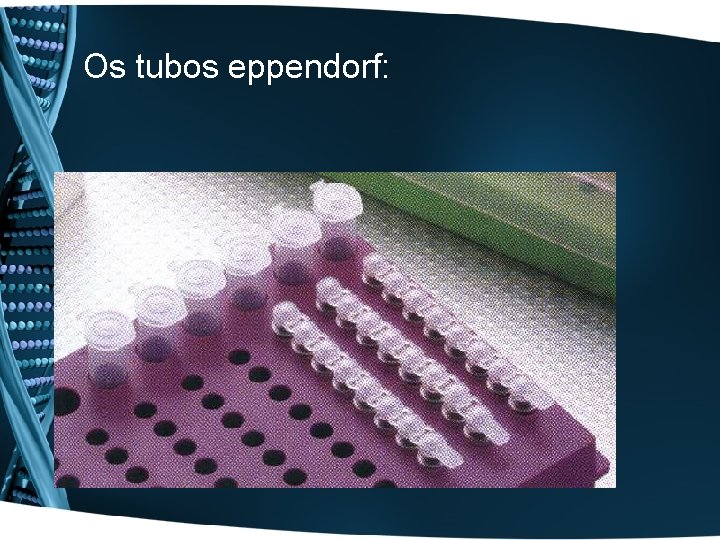 Os tubos eppendorf: 