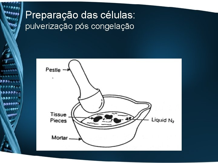 Preparação das células: pulverização pós congelação 