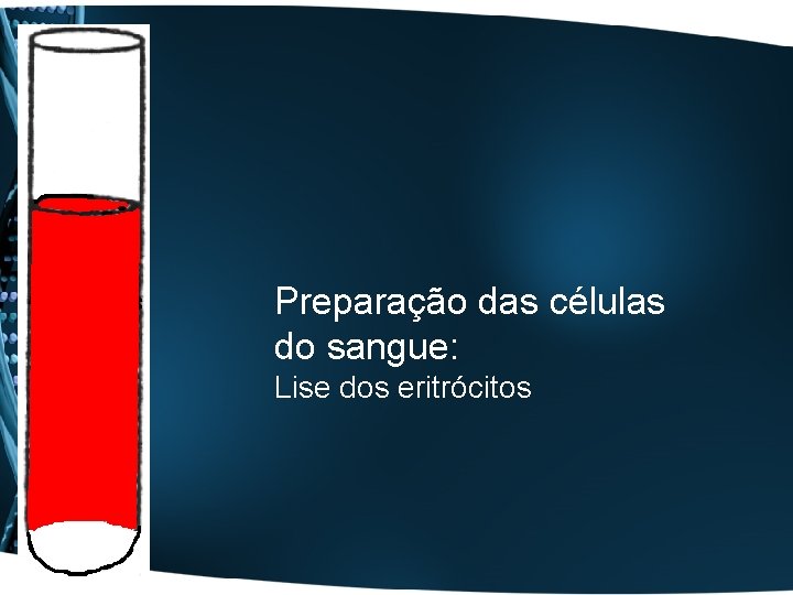 Preparação das células do sangue: Lise dos eritrócitos 