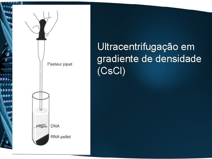 Ultracentrifugação em gradiente de densidade (Cs. Cl) 