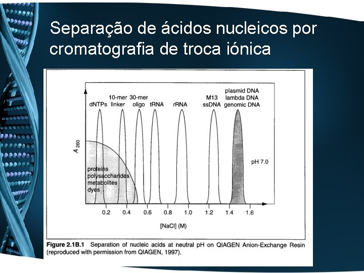 Separação de ácidos nucleicos por cromatografia de troca iónica 
