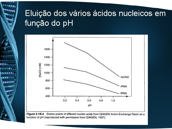 Eluição dos vários ácidos nucleicos em função do p. H 