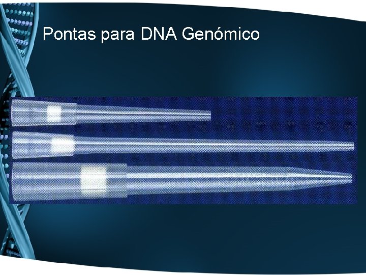 Pontas para DNA Genómico 