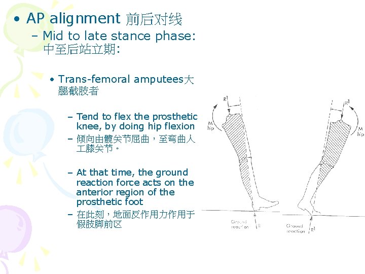  • AP alignment 前后对线 – Mid to late stance phase: 中至后站立期: • Trans-femoral