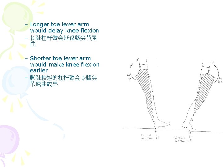 – Longer toe lever arm would delay knee flexion – 长趾杠杆臂会延误膝关节屈 曲 – Shorter