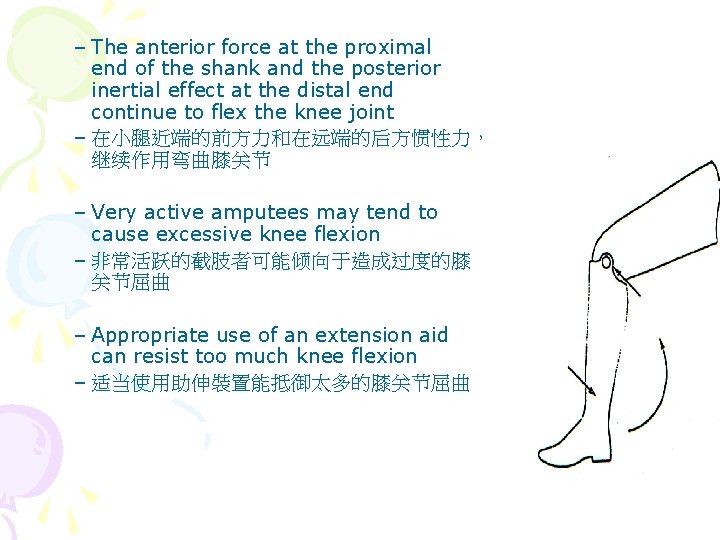 – The anterior force at the proximal end of the shank and the posterior