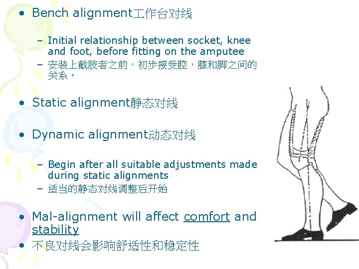 • Bench alignment 作台对线 – Initial relationship between socket, knee and foot, before