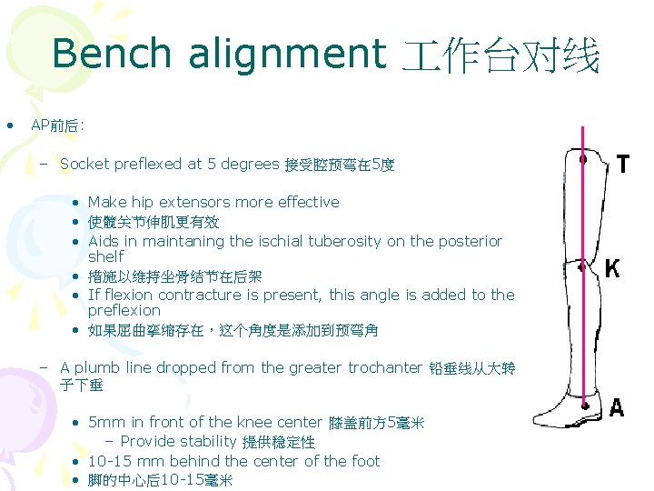 Bench alignment 作台对线 • AP前后: – Socket preflexed at 5 degrees 接受腔预弯在 5度 •