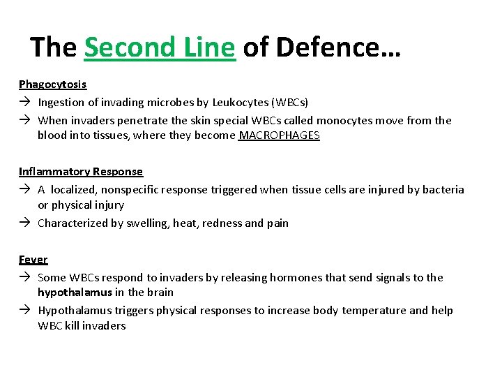 The Second Line of Defence… Phagocytosis Ingestion of invading microbes by Leukocytes (WBCs) When