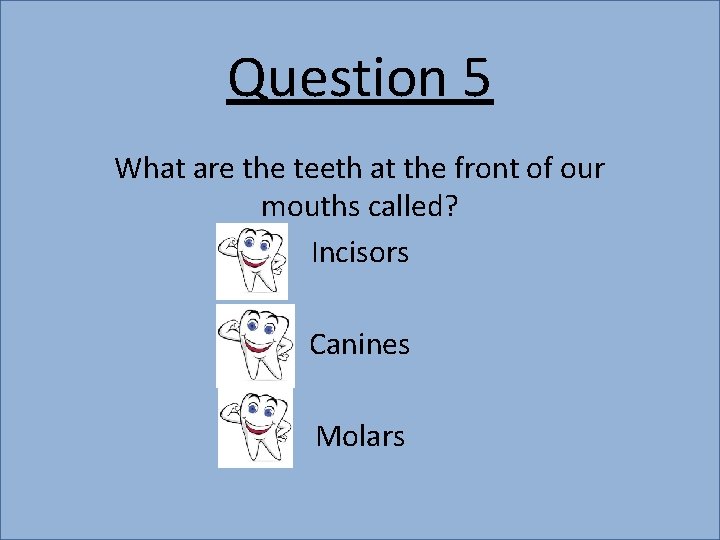 Question 5 What are the teeth at the front of our mouths called? Incisors