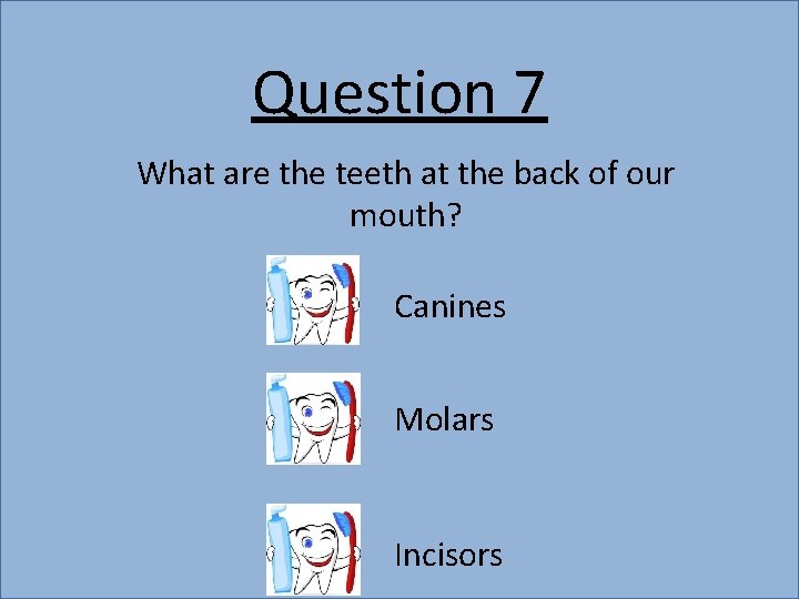 Question 7 What are the teeth at the back of our mouth? Canines Molars