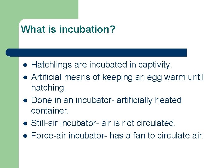 What is incubation? l l l Hatchlings are incubated in captivity. Artificial means of