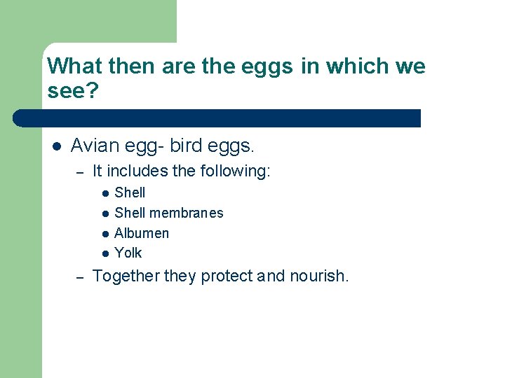 What then are the eggs in which we see? l Avian egg- bird eggs.