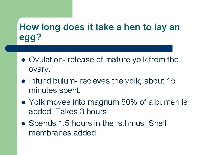 How long does it take a hen to lay an egg? l l Ovulation-