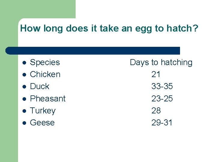 How long does it take an egg to hatch? l l l Species Chicken