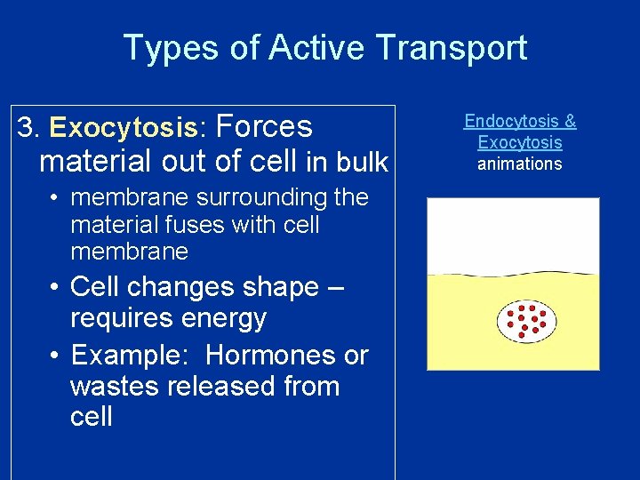 Types of Active Transport 3. Exocytosis: Forces material out of cell in bulk •
