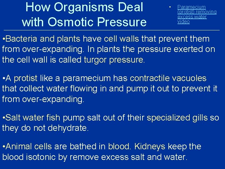 How Organisms Deal with Osmotic Pressure • Paramecium (protist) removing excess water video •