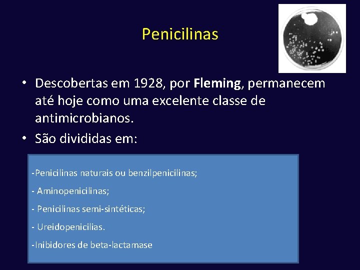 Penicilinas • Descobertas em 1928, por Fleming, permanecem até hoje como uma excelente classe