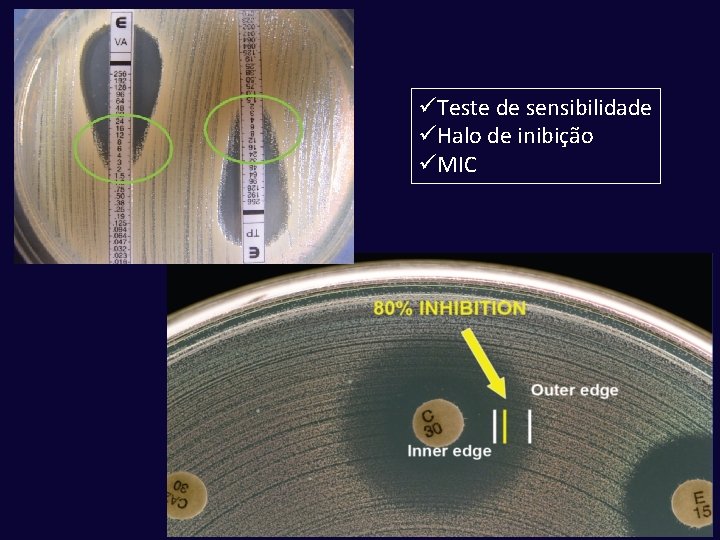 üTeste de sensibilidade üHalo de inibição üMIC 