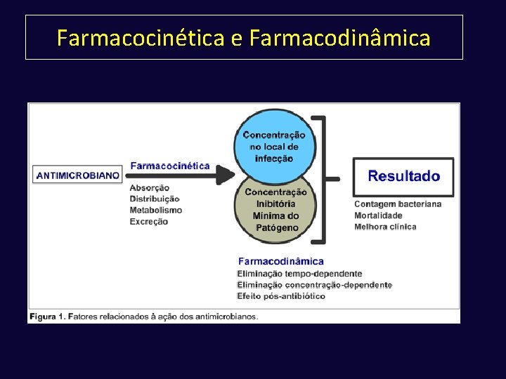 Farmacocinética e Farmacodinâmica 