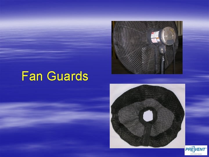 Fan Guards 