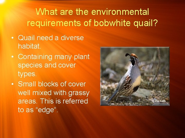 Identifying Foods and Environmental Requirements For Game Birds