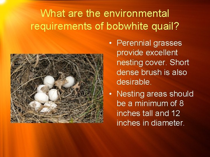 Identifying Foods and Environmental Requirements For Game Birds