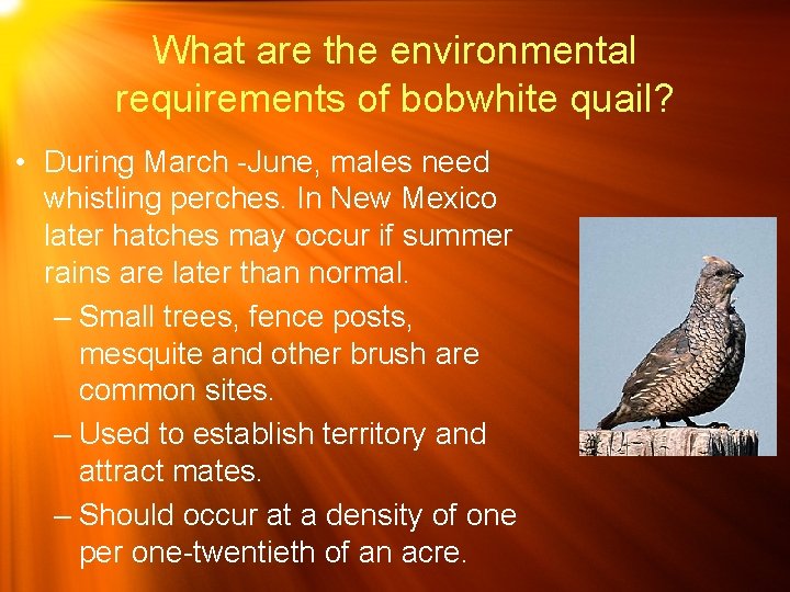 Identifying Foods and Environmental Requirements For Game Birds