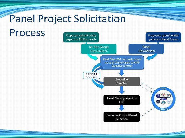 Panel Project Solicitation Process 