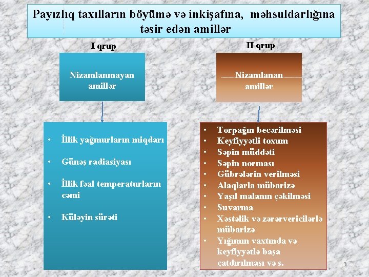 Payızlıq taxılların böyümə və inkişafına, məhsuldarlığına təsir edən amillər I qrup II qrup Nizamlanmayan