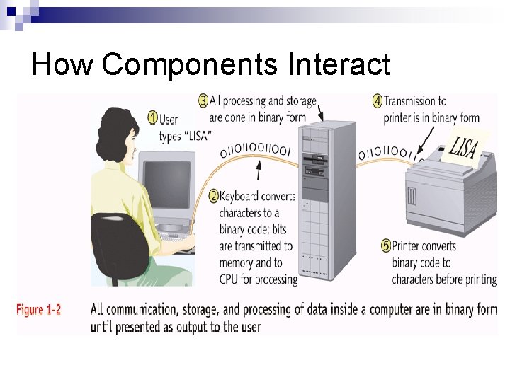 How Components Interact How Components Interact